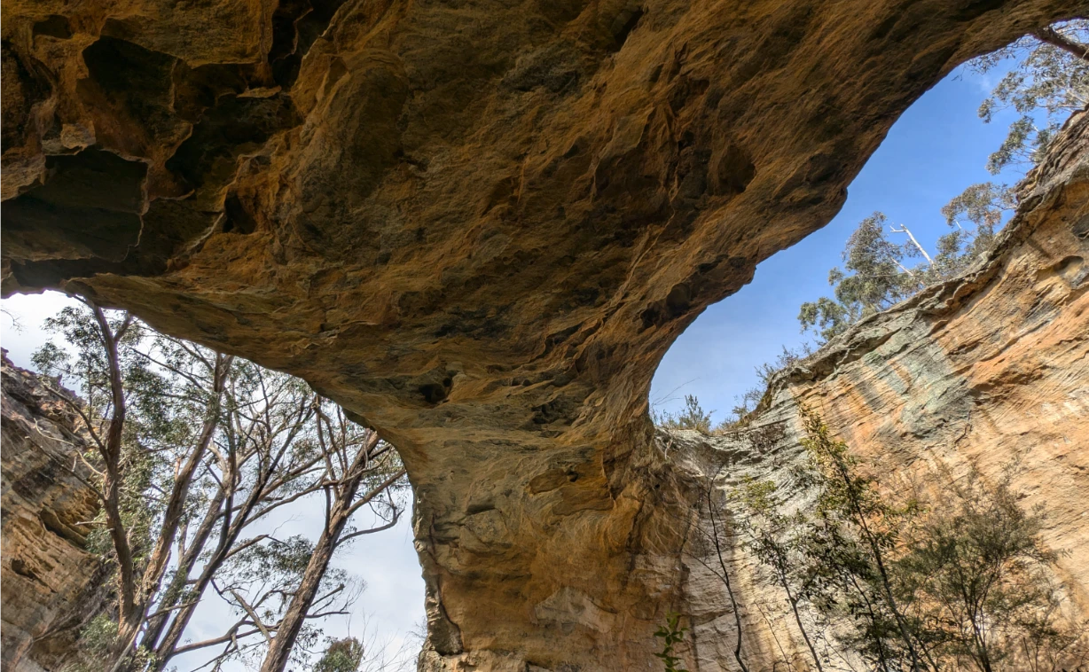 Dargan Arch